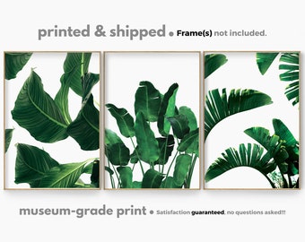 Monstera Leaves Print Set, Tropical Leaves Wall Art, Tropical Plant Poster Set, Banana Leaf Art Print, Green Leaves Wall Decor, Scandinavian