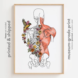 Flower Muscles Anatomy Art Print: Human Back Muscles Poster