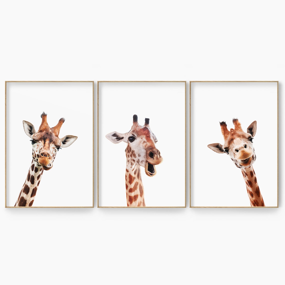 Giraffe Print Set Of 3 Giraffe Wall Art Set Giraffe Set Of 3 Etsy