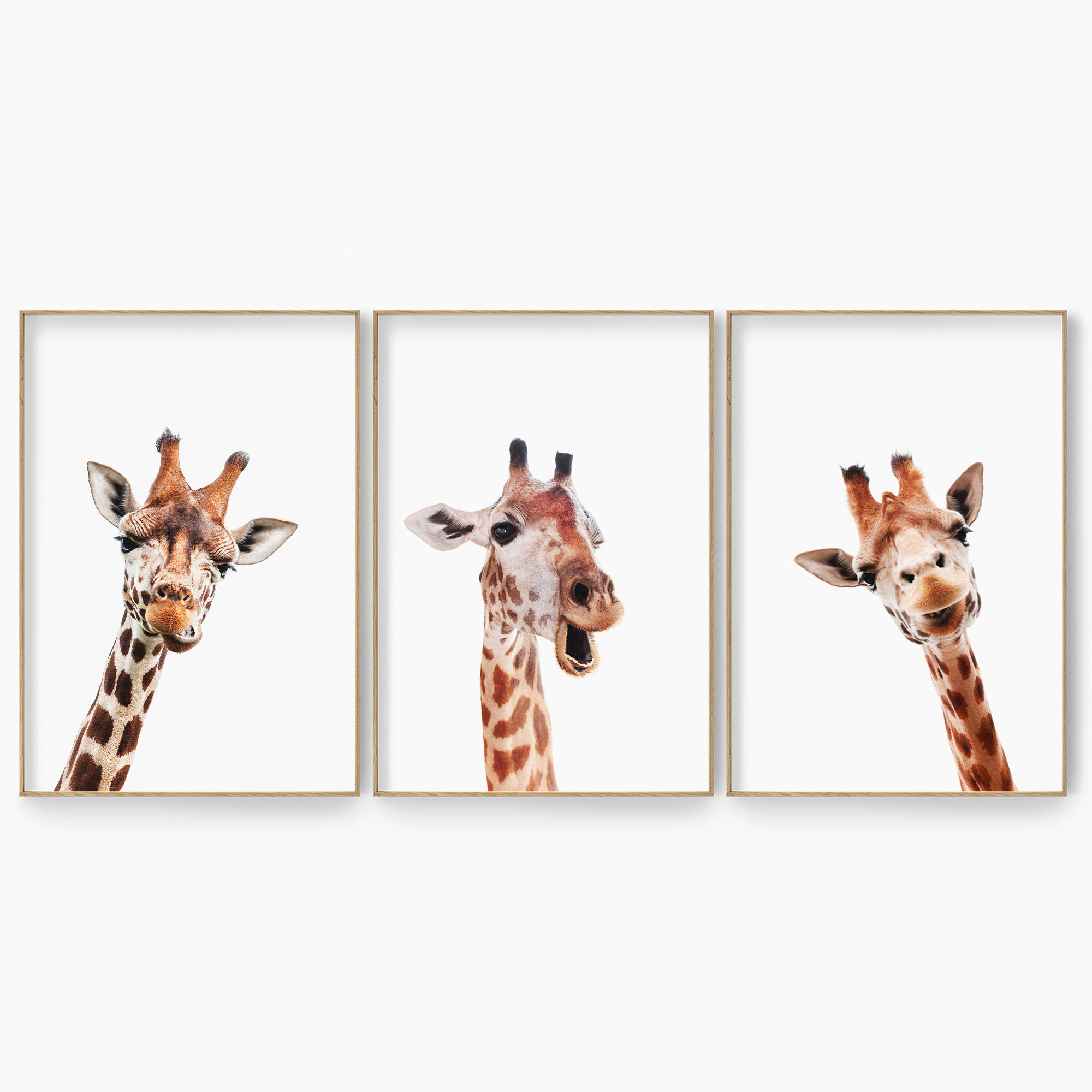 Art & Collectibles Digital Safari poster Digital Download Peekaboo