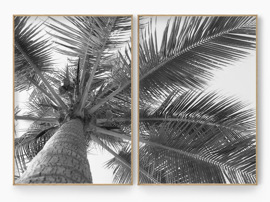 Palm Tree Print Set of 2 Black and White Tropical Wall Art Etsy