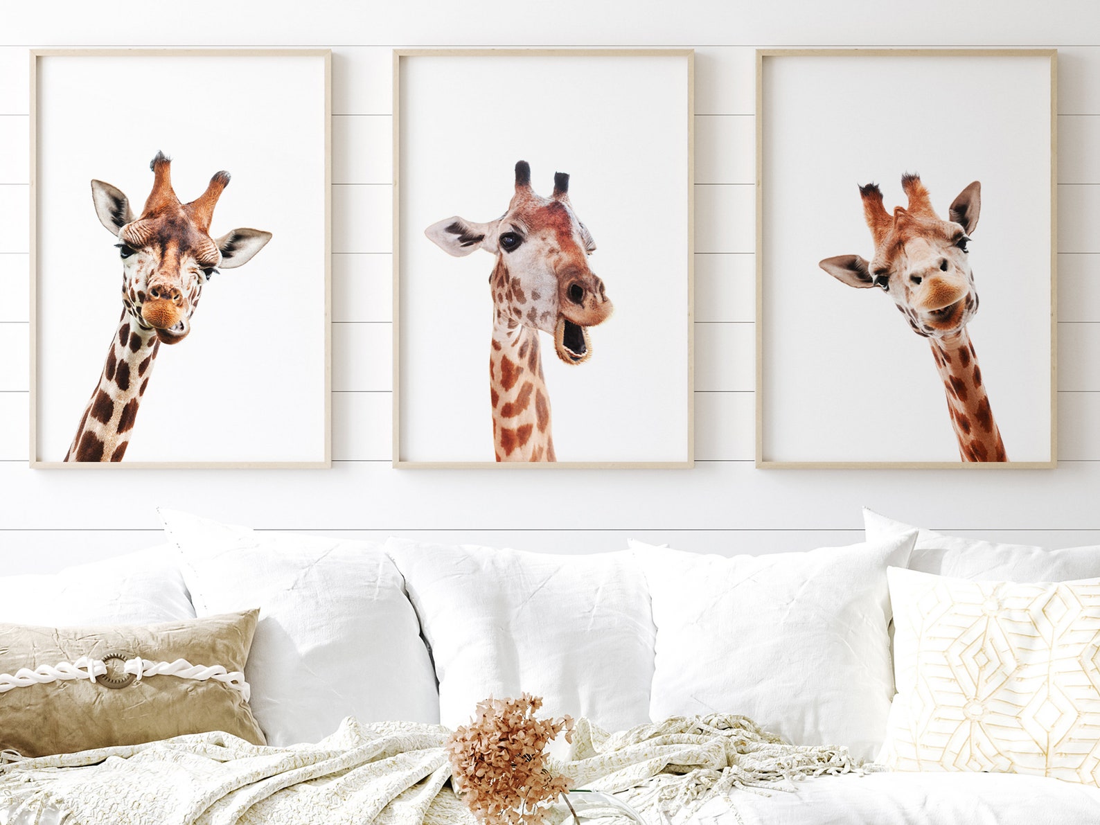 Colorful Giraffe Art Print Set Funny Giraffe Wall Art Etsy