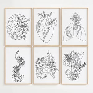 Floral Anatomy Line Art Set, Human Anatomy Poster, Medical Art Print Set, Body Health Poster, Hospital Wall Art, Doctor Office Print Set