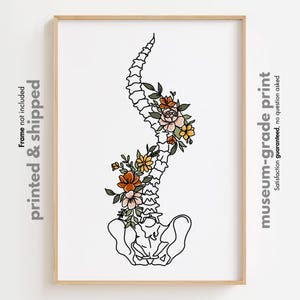Flower Spinal Cord Anatomy Print, Pelvis Wall Art, Orthopedic Poster, Medical Office Decor, Massage Therapist Wall Art, Chiropractor Poster