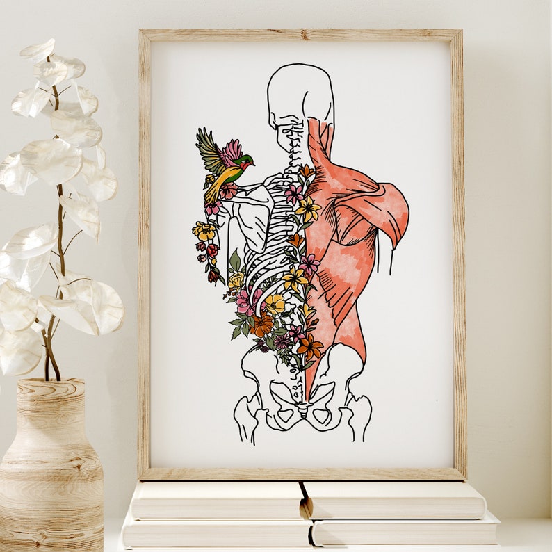 Floral Spine Anatomy Print Back Muscles Poster Muscular Etsy