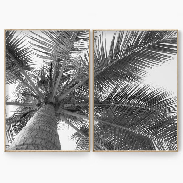 Palm Tree Print, Set of 2, Black and White Tropical Wall Art, Palm Tree Photography Poster Set, Tropical Art Print, Boho Bathroom Poster Set