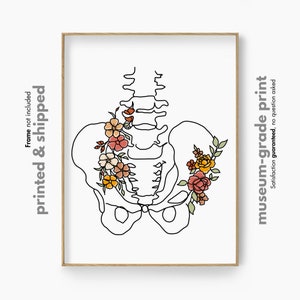 Flower Pelvic Wall Art, Medical Student Gift, Feminine Anatomy Print, Botanical Pelvic Art, Orthopedic Poster, Anatomical Print, Pt Gifts