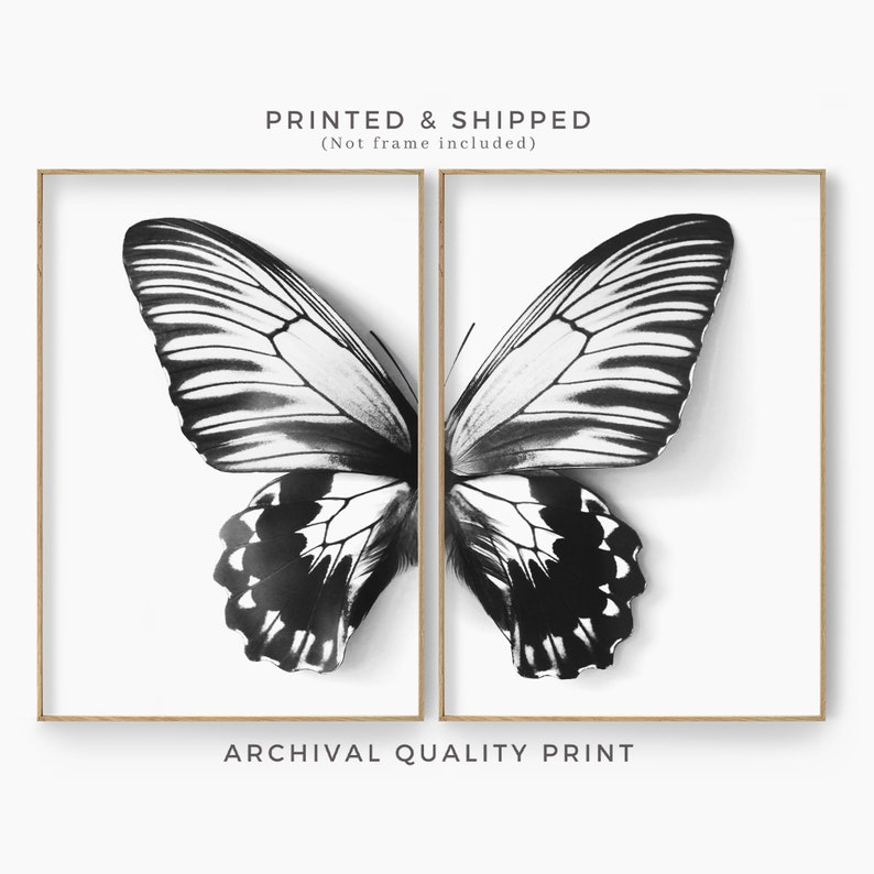 Butterfly Print Set of 2 Black and White Butterfly Poster Etsy