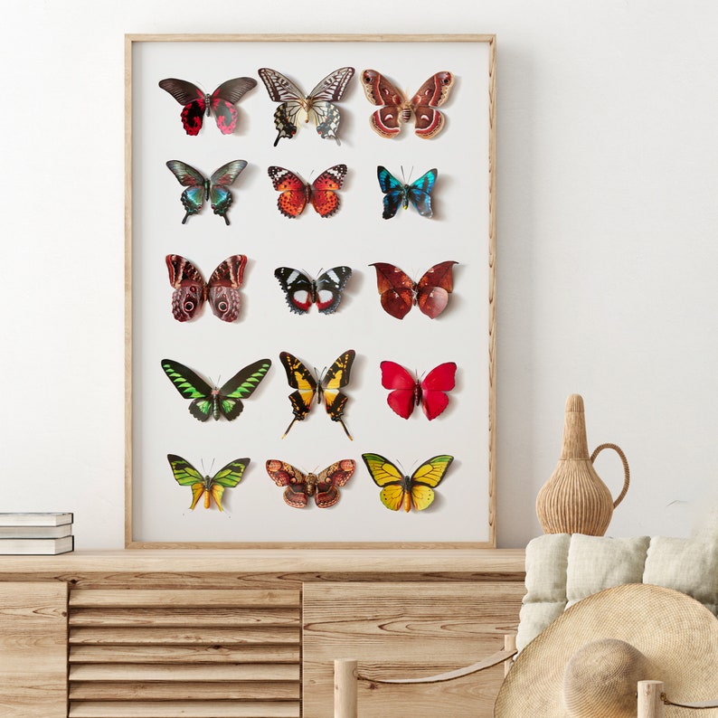 Colorful Butterfly Print Wall Art Butterfly Poster Download - Etsy