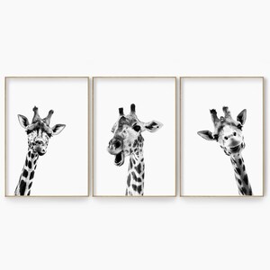 baby giraffe wall art