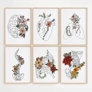 Floral Anatomy Gallery Wall Set, Colorful Human Body Line Art, Set of 6 Prints, Doctor Office Print Set, Therapy Office Print, Healing Art