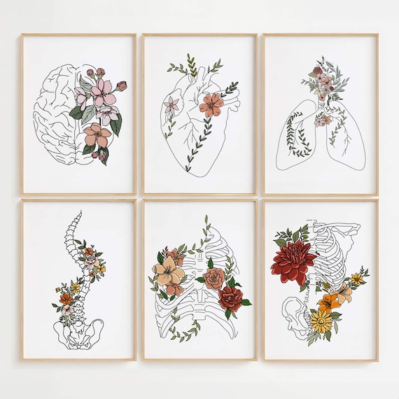 Floral Anatomy Art Print Set: Colorful Doctor Office Decor (Digital Download)