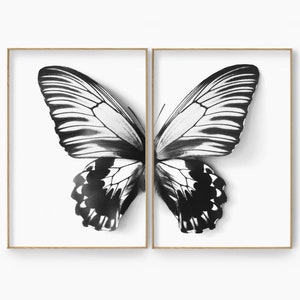 Butterfly wall art, butterfly poster, black and white, set of 2, butterfly wall decal, butterfly print, butterfly printable,nursery wall art