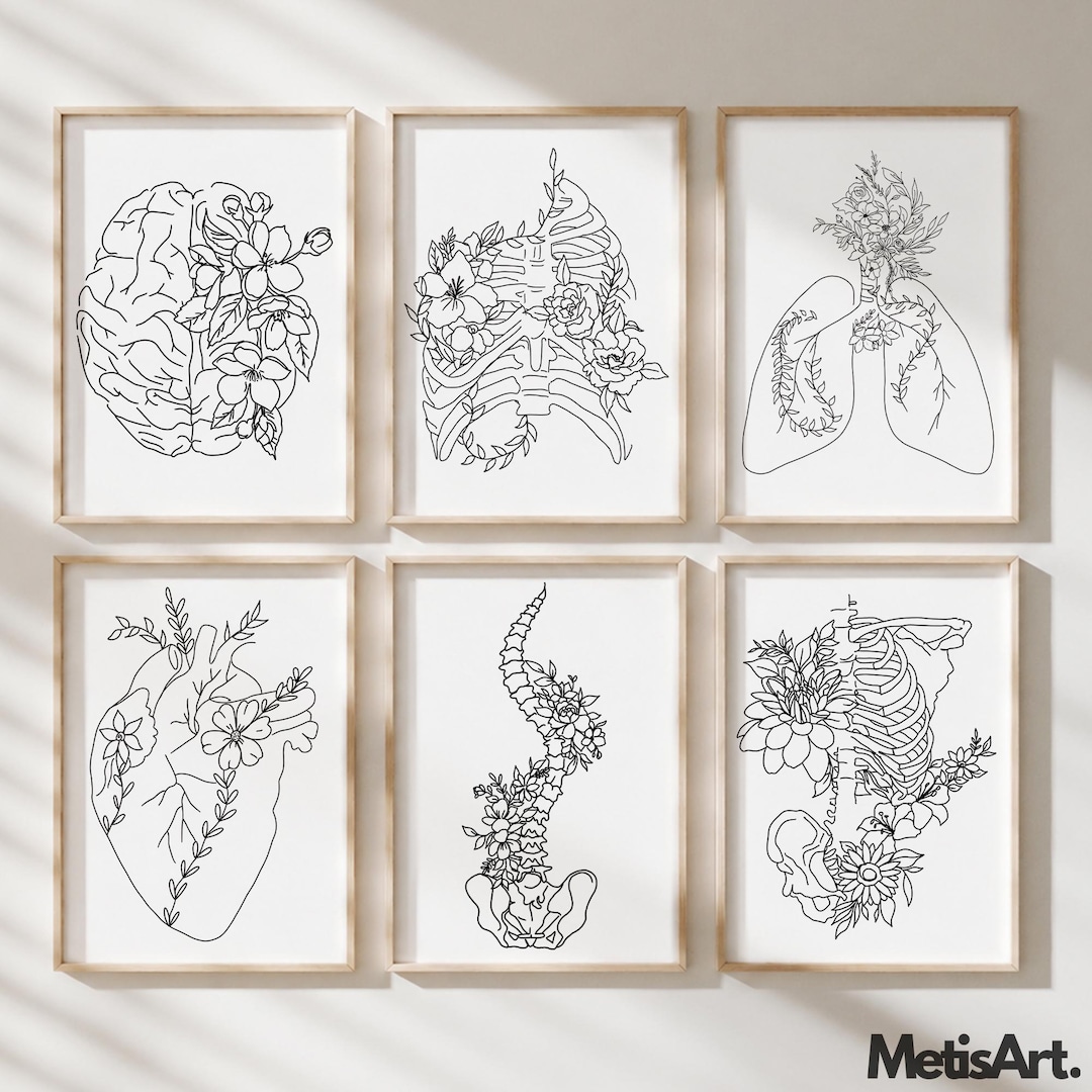 Floral Anatomy Art Print Set - 6 Piece Monochrome Medical Wall Decor - Etsy