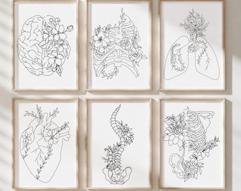 Juego de láminas de anatomía floral - 6 piezas de decoración médica monocromática para pared