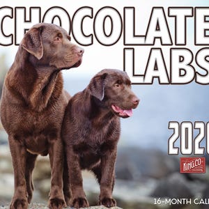 May include: A 2026 calendar featuring two chocolate Labrador Retrievers. The calendar has the words "CHOCOLATE LABS" in large white letters at the top. The year "2026" is displayed in white, with the King.Co calendar logo.