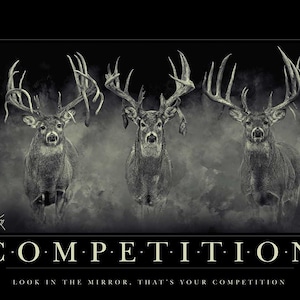 Competition Motivational Whitetail Deer Print by Robert King, Trophy Bucks, Giant Bucks, Buck Print, Deer Poster, Racks, Cabin Woodland