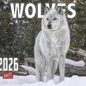 2026 Wolves Wall Calendar 16-Month X-Large Size 14x22, Majestic Wolf Calendar by The KING Company-Monster Calendars