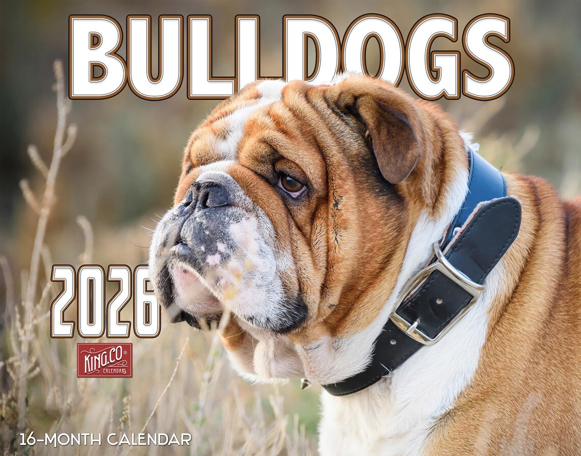 2026 Bulldogs Wall Calendar 16-month X-large Size 14x22, Dog Calendar