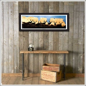 The Magnificent Seven Print, Mule Deer Trophy Bucks, World Record, Giant Bucks, Buck Print, Deer Poster, Racks, Cabin Woodland