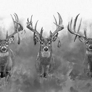 Gym Rats Light Whitetail Print by Robert King, Whitetail deer Trophy Bucks, Giant Bucks, Buck Print, Deer Poster, Racks, Cabin Woodland