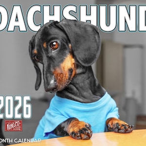 2026 Dachshund Wall Calendar 16-Month X-Large Size 14x22, Weiner Dog Calendar by The KING Company-Monster Calendars