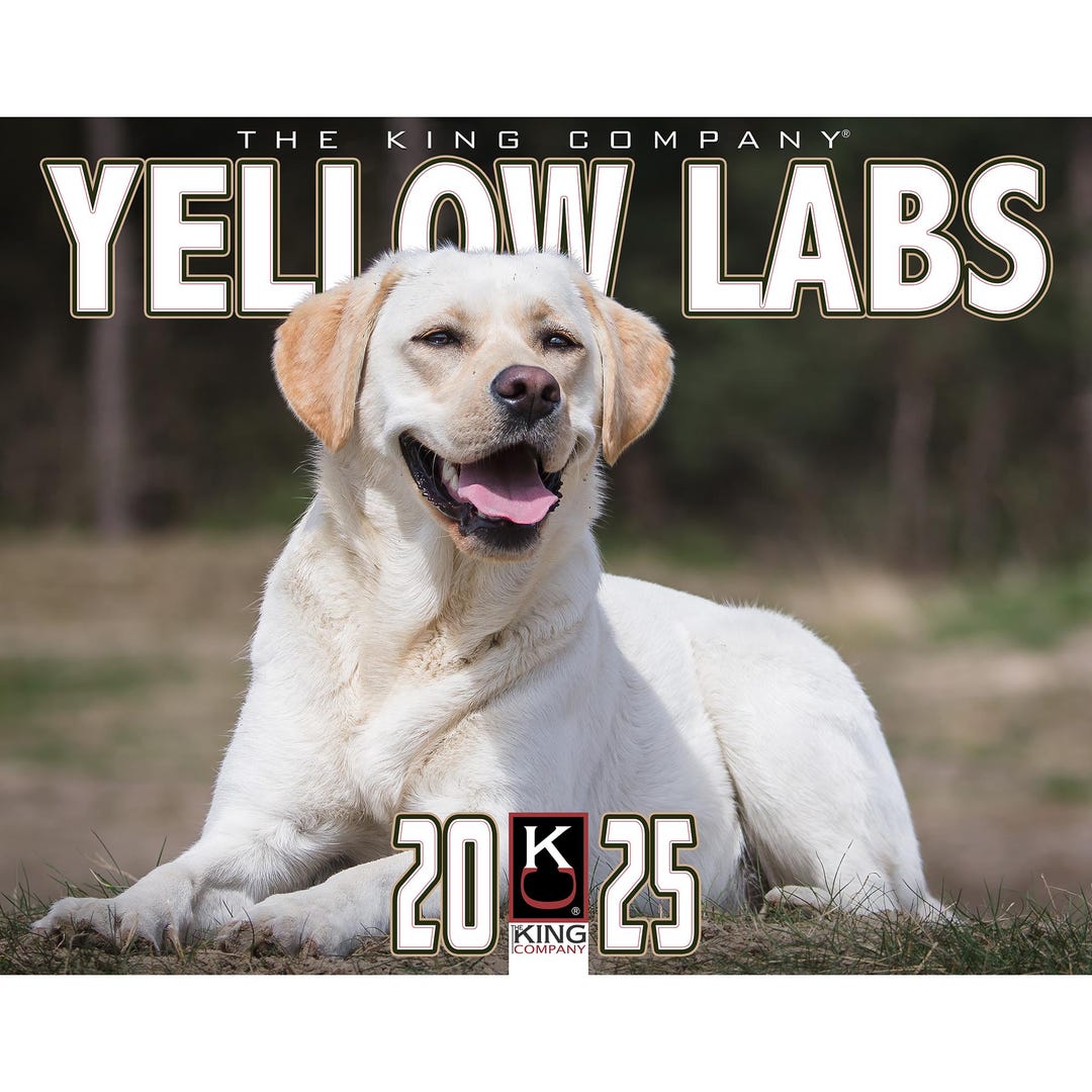 Golden Retriever Soggy Acres Retrievers Prices Soggy Acres