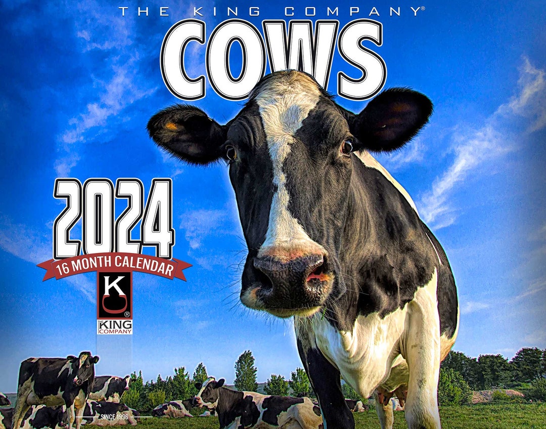2024 Cows Wall Calendar 16month Xlarge Size 14x22, Best Farm Cows
