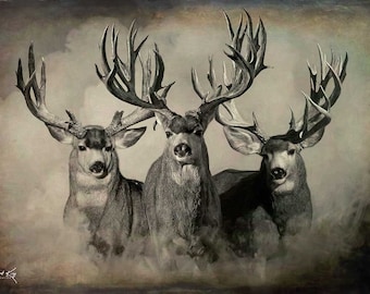 Mule deer metal art deals