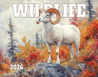 2026 Wildlife Illustrated Wall Calendar 16-Month X-Large Size 14x22, Retro Wildlife Calendar by The KING Company-Monster Calendars