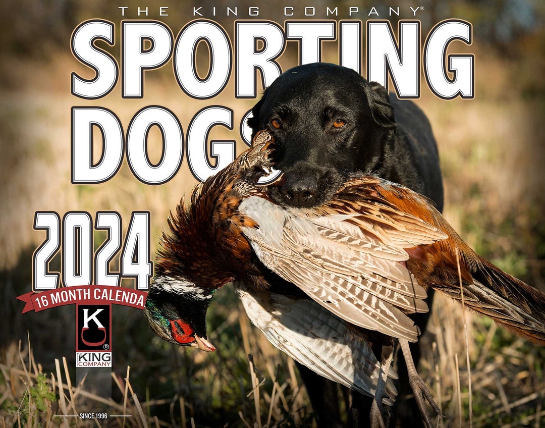 2024 Sporting Dogs Wall Calendar 16month Xlarge Size 14x22, Best