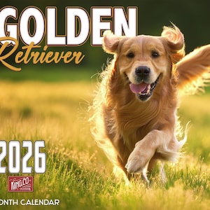 2026 Golden Retriever Wall Calendar 16-Month X-Large Size 14x22, Retriever Dog Calendar by The KING Company-Monster Calendars