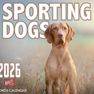2026 Sporting Dogs Wall Calendar 16-Month X-Large Size 14x22, Hunting Dogs Calendar by The KING Company-Monster Calendars