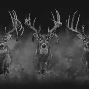 Gym Rats Dark Whitetail Print by Robert King, Whitetail Deer Trophy Bucks, Giant Bucks, Buck Print, Deer Poster, Racks, Cabin Woodland