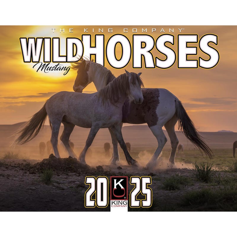 Chevaux Dans La Brume Calendrier 2025
