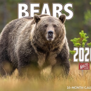 RED EMBER Black Bears 2026 Wall Calendar 12 Month | 12" X 24