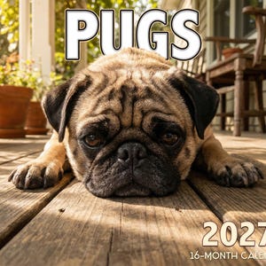 May include: A 2027 16-month calendar featuring a tan pug with a black muzzle lying on a wooden deck. The word PUGS is printed in large white letters at the top, and the text 2027 16-MONTH CALENDAR is printed in the bottom right corner.