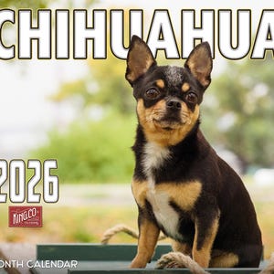 2026 Chihuahuas Dog Wall Calendar 16-Month X-Large Size 14x22, Dog Calendar by The KING Company-Monster Calendars