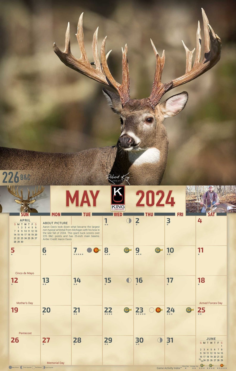 2025 Monster Whitetail Deer Wall Calendar 16month Xlarge Size 14x22