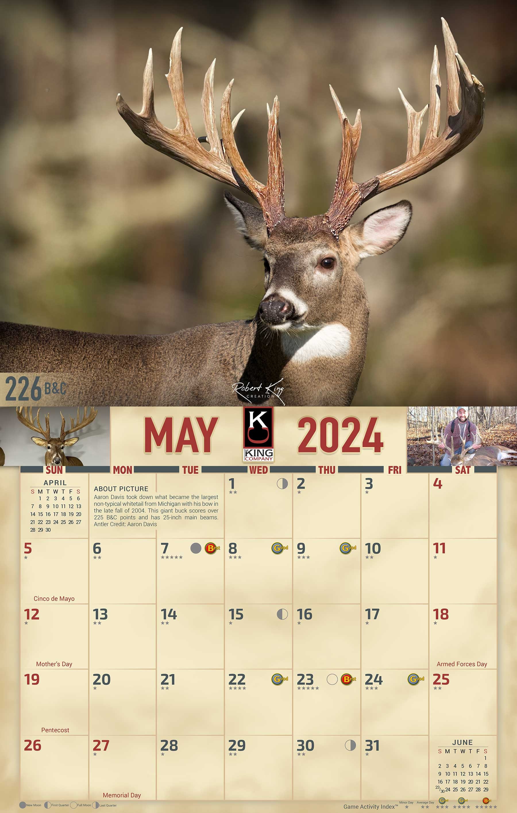 2024 Monster Whitetail Deer Wall Calendar 16month Xlarge Size 14x22
