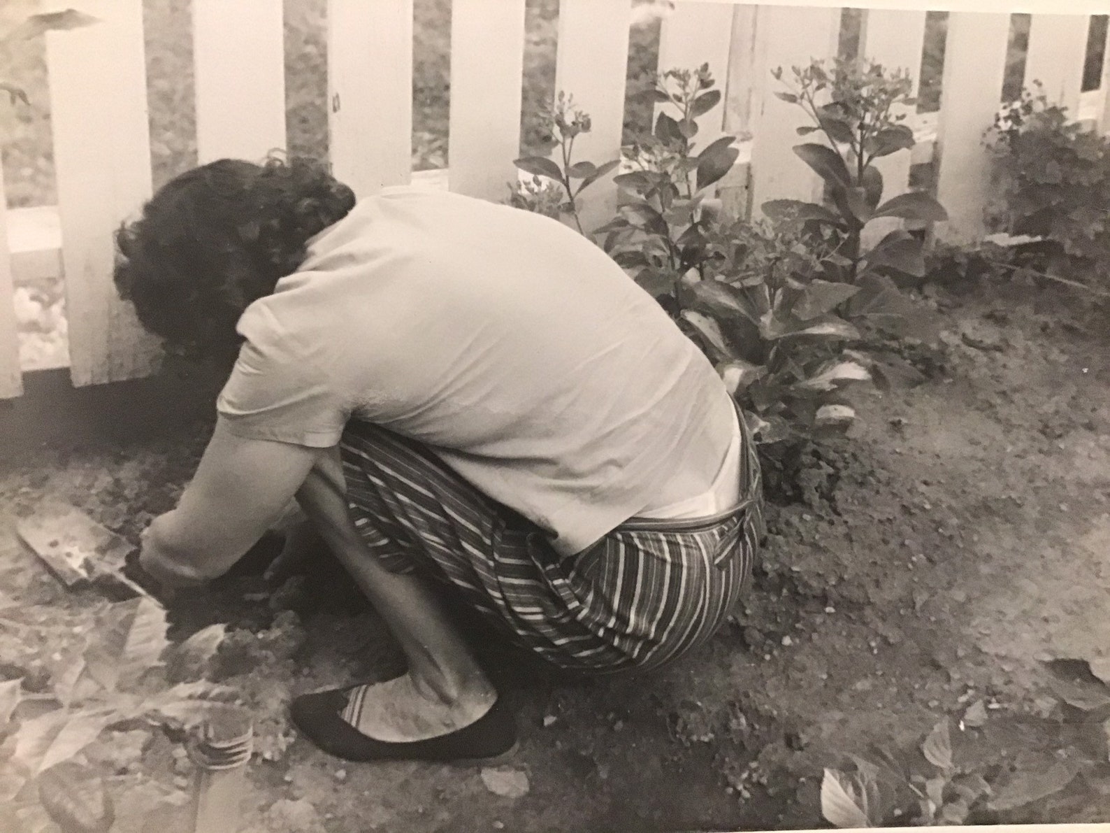 Vintage Photo Woman Bending Over Garden Woman Showing Etsy