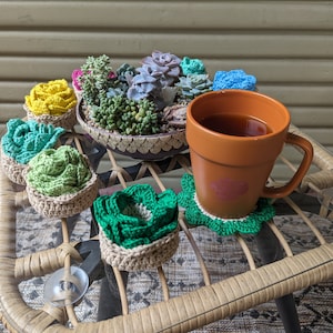 Crochet Succulent Coaster 5 piece Set