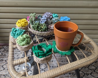 Crochet Succulent Coaster 5 piece Set