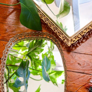 May include: Two gold-toned oval-shaped mirrors with ornate frames. The mirrors are reflecting a green plant with large leaves.