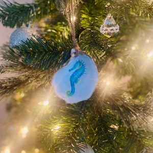 Ornements de coquillages, créatures côtières