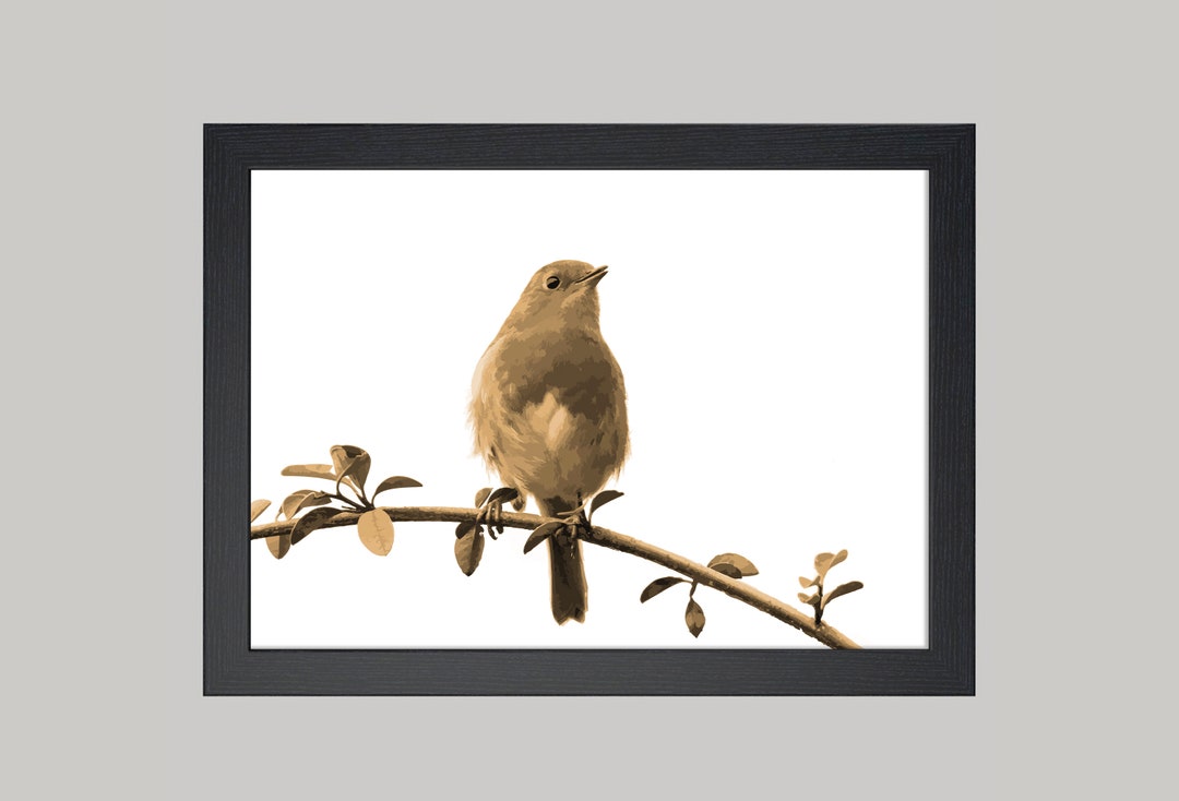 A4 Robin Print Robin Wall Art Robin Landscape Print Robin Etsy