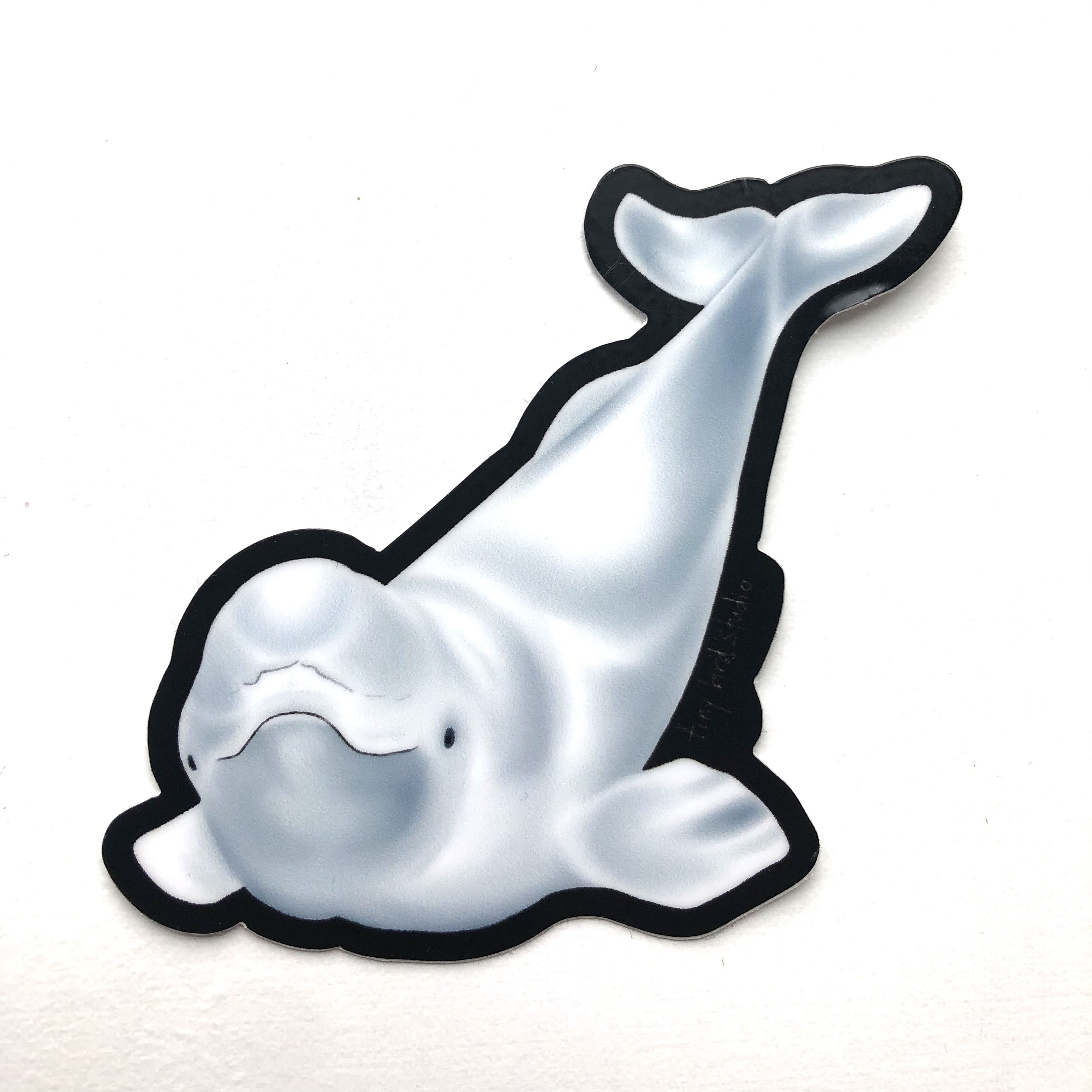 Beluga Whale Swimming Sticker by katdrawsit for iOS & Android