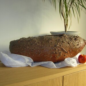 May include: A large, textured, brown ceramic planter with a rounded shape, resting on a white cloth. A small red apple sits nearby. A potted plant with long green leaves is in the background.