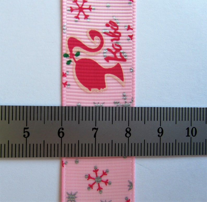 Pu&ograve; includere: Nastro rosa con un motivo a fiocco di neve argentato e la scritta "Barbie" stampata su di esso. Il nastro viene misurato con un righello, mostrando che &egrave; largo 2,5 cm.