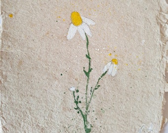 Small watercolor. Chamomile blossom on handmade paper